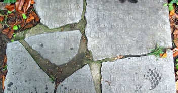 Evvnt blog