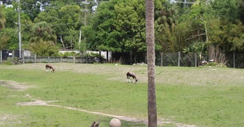 Evvnt blog