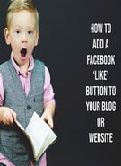 How To Add a Facebook ‘Like’ Button to your Blog or Website