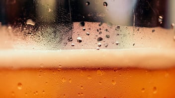 Glasses of golden cider and apples celebrating harvest season